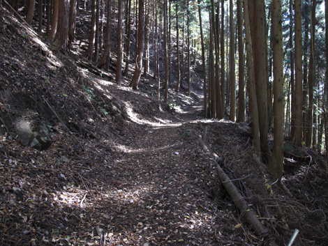 20161117hike (47)